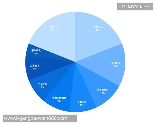 北京羽毛球队运营革新全景解析助力体育发展新局面